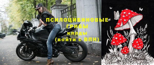 ГАЛЛЮЦИНОГЕННЫЕ ГРИБЫ Магадан