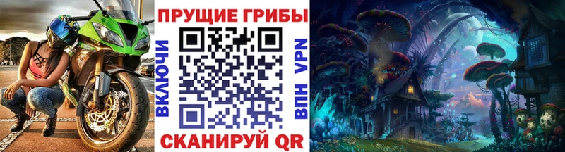 дарнет шоп Новоаннинский Галлюциногенные грибы MAGIC MUSHROOMS